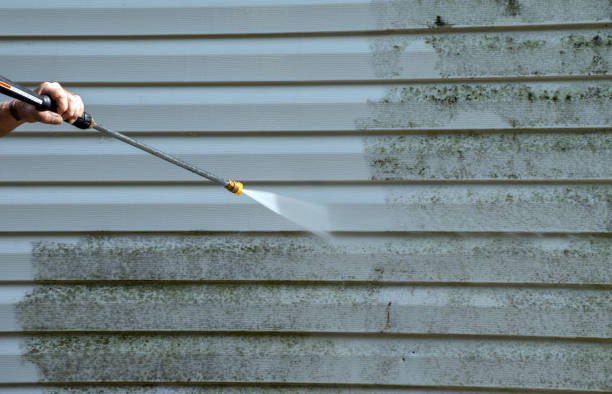 Best Certified Mold Removal  in Blue Jay, OH
