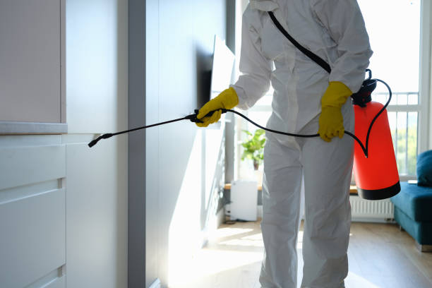 Professional Mold Removal in Blue Jay, OH