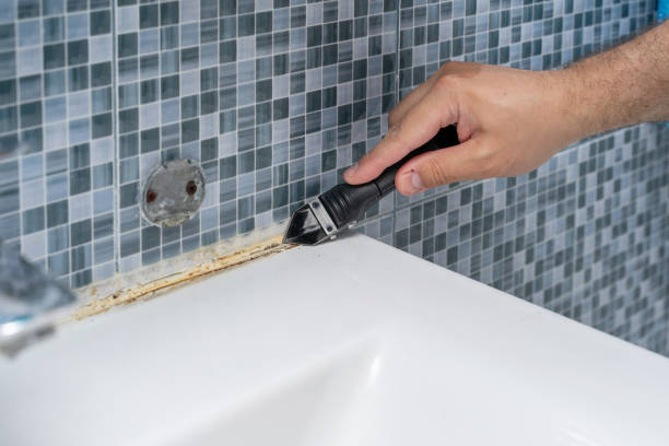 Best Mold Testing  in Blue Jay, OH