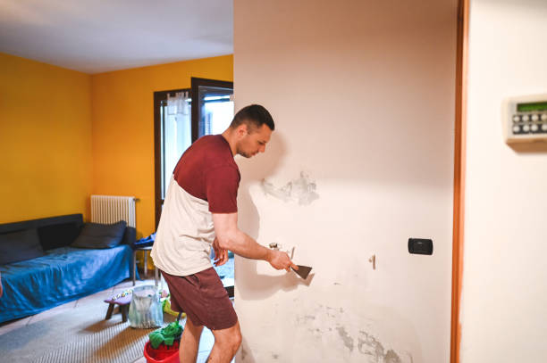 Best Attic Mold Removal  in Blue Jay, OH