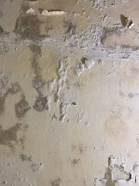 Best Water Damage Restoration  in Blue Jay, OH